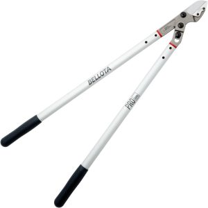 Ψαλίδα Φρούτων με Ίσια Λάμα BELLOTA 3581-80