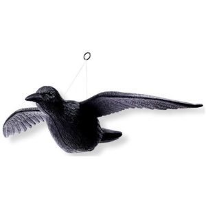 Απωθητικό πτηνών ομοίωμα κοράκι STAC