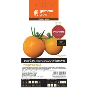 Τομάτα πορτοκαλί ημιαναρ/μενη Zloty Ozarowski σπόροι φάκελος Gemma premium