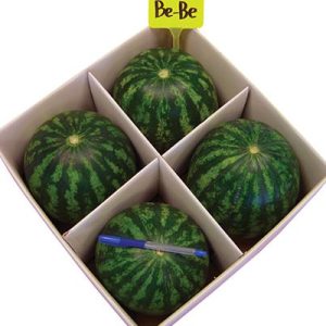 ΚΑΡΠΟΥΖΙ ΜΙΝΙ ΒΕΒΕ F1