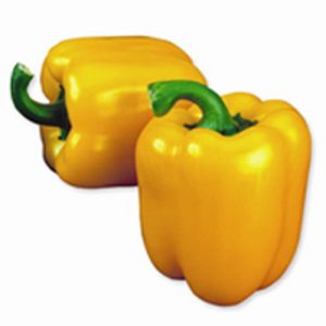 Πιπεριά τύπου Blocky Giacomo F1