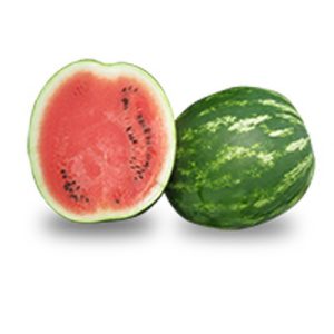 Καρπούζι ένσπερμο Miracle F1