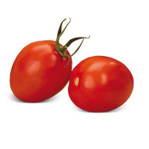 Τομάτα αυτοκλαδευόμενη Roma Type Tyanna F1