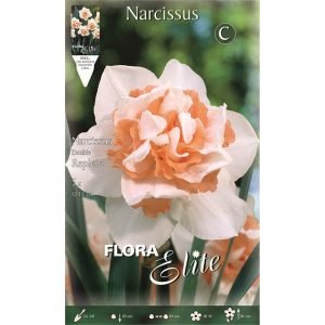 Νάρκισσος Replete 518362