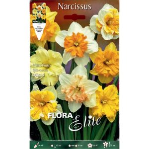 Νάρκισσος Corona Μίγμα 802058