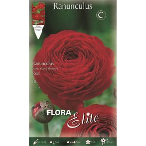 Νεραγκούλα Asiatic red 517532