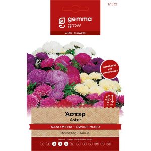 Άστερ Μπορντούρα (Νάνο) Μίγμα φάκελος σπόρων