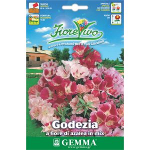 Γκοδέτια Διπλή Μίγμα φάκελος σπόρων HORTUS