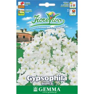 Γυψοφίλη Λευκή (Ακρόστια) φάκελος σπόρων HORTUS