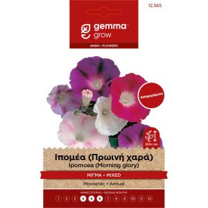 Ιπομέα (Πρωινή Χαρά) Μίγμα φάκελος σπόρων