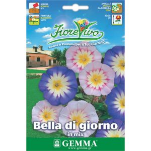 Ιπομέα Δίχρωμη (Πρωινή Χαρά Κοντή) φάκελος σπόρων HORTUS