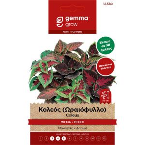 Κολεός (Ωραιόφυλλο) φάκελος σπόρων