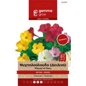 Νυχτολούλουδο φάκελος σπόρων