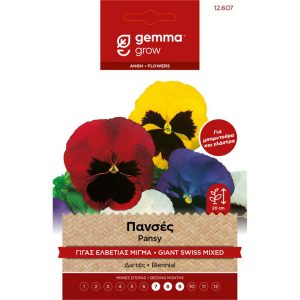 Πανσές Γίγας Ελβετίας Μίγμα φάκελος σπόρων