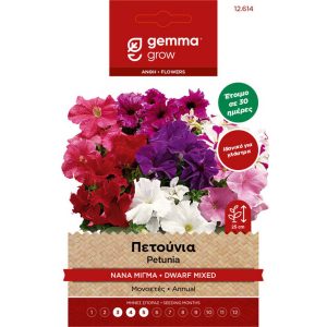 Πετούνια Υβρίδιο Νάνα Μίγμα φάκελος σπόρων