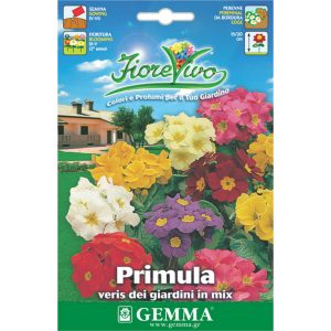 Πρίμουλα Μίγμα φάκελος σπόρων HORTUS