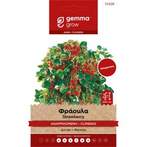 Φράουλα Αναρριχώμενη φάκελος σπόρων