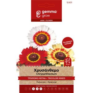 Χρυσάνθεμο Πολύχρωμο Μίγμα φάκελος σπόρων