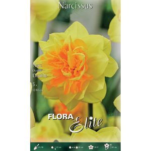 Νάρκισσος Double Sunrise 819339