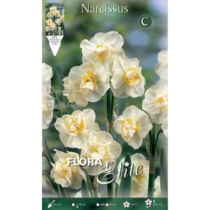 Νάρκισσος Sir Winston Churchill 819346