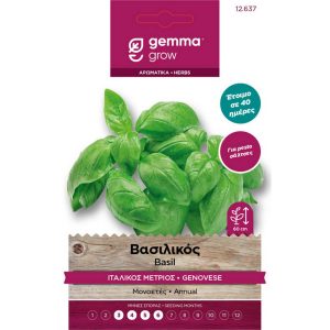 Βασιλικός Ιταλικός Μέτριος φάκελος σπόρων