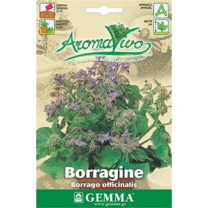 Βοϊδόγλωσσα (Μποράντζα) φάκελος σπόρων HORTUS