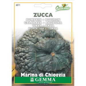 Κολοκύθα Marina Di Chioggia φάκελος σπόρων HORTUS