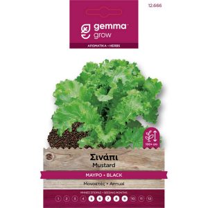 Σινάπι Μαύρο φάκελος σπόρων