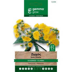 Ζωχός φάκελος σπόρων