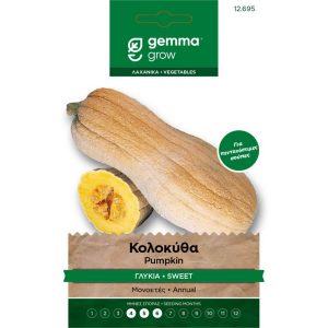 Κολοκύθα Γλυκιά φάκελος σπόρων