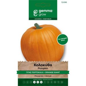 Κολοκύθα Στρογγυλή Κόκκινη φάκελος σπόρων