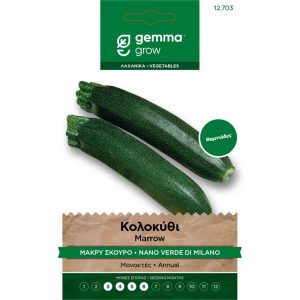 Κολοκύθι Μακρύ Σκούρο φάκελος σπόρων