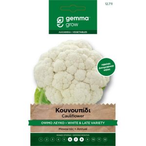 Κουνουπίδι Όψιμο Λευκό φάκελος σπόρων