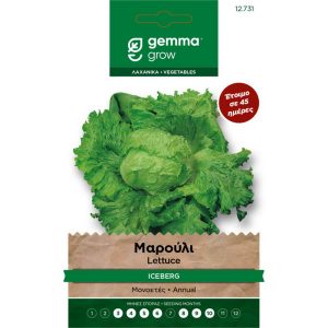 Μαρούλι Iceberg Great Lakes φάκελος σπόρων