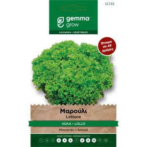 Μαρούλι Λόλα φάκελος σπόρων