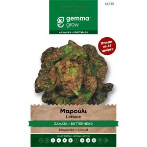 Μαρούλι Σαλάτα Βιολετί φάκελος σπόρων