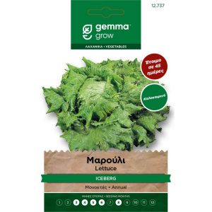 Μαρούλι Iceberg Καλοκαιρινό φάκελος σπόρων