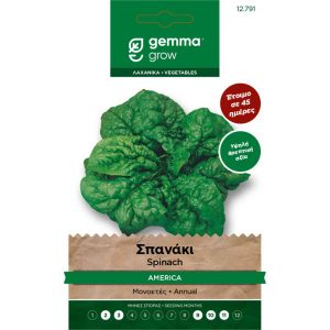 Σπανάκι America φάκελος σπόρων