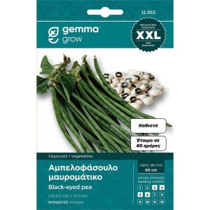 Φασόλι Αμπελοφάσουλο Καθιστό 853 φάκελος σπόρων XXL