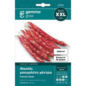 Φασόλι Μπουρλότο Χάντρα Καθιστό Lampo 857 φάκελος σπόρων XXL