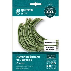 Φασόλι Αμπελοφάσουλο του Μέτρου Αναρ/μενο 871 φάκελος σπόρων XXL