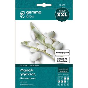 Φασόλι Μπουρλότο Χάντρα Αναρ/μενο Focus 900 φάκελος σπόρων XXL