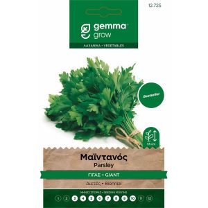 Μαϊντανός γίγας